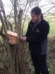 Rob West fitting a bat box in a hedgerow