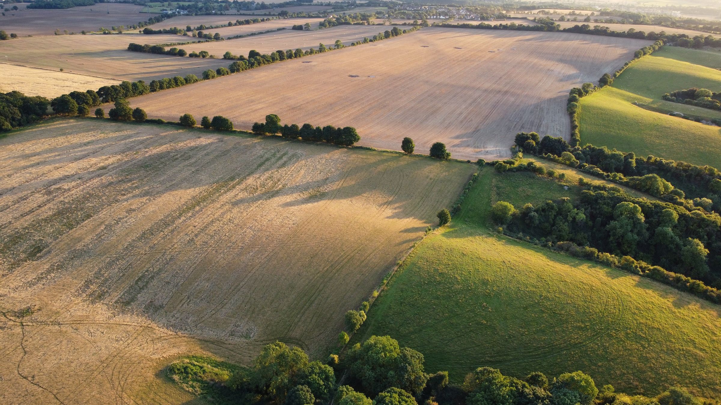 Arable fields and hedge lines in evening light