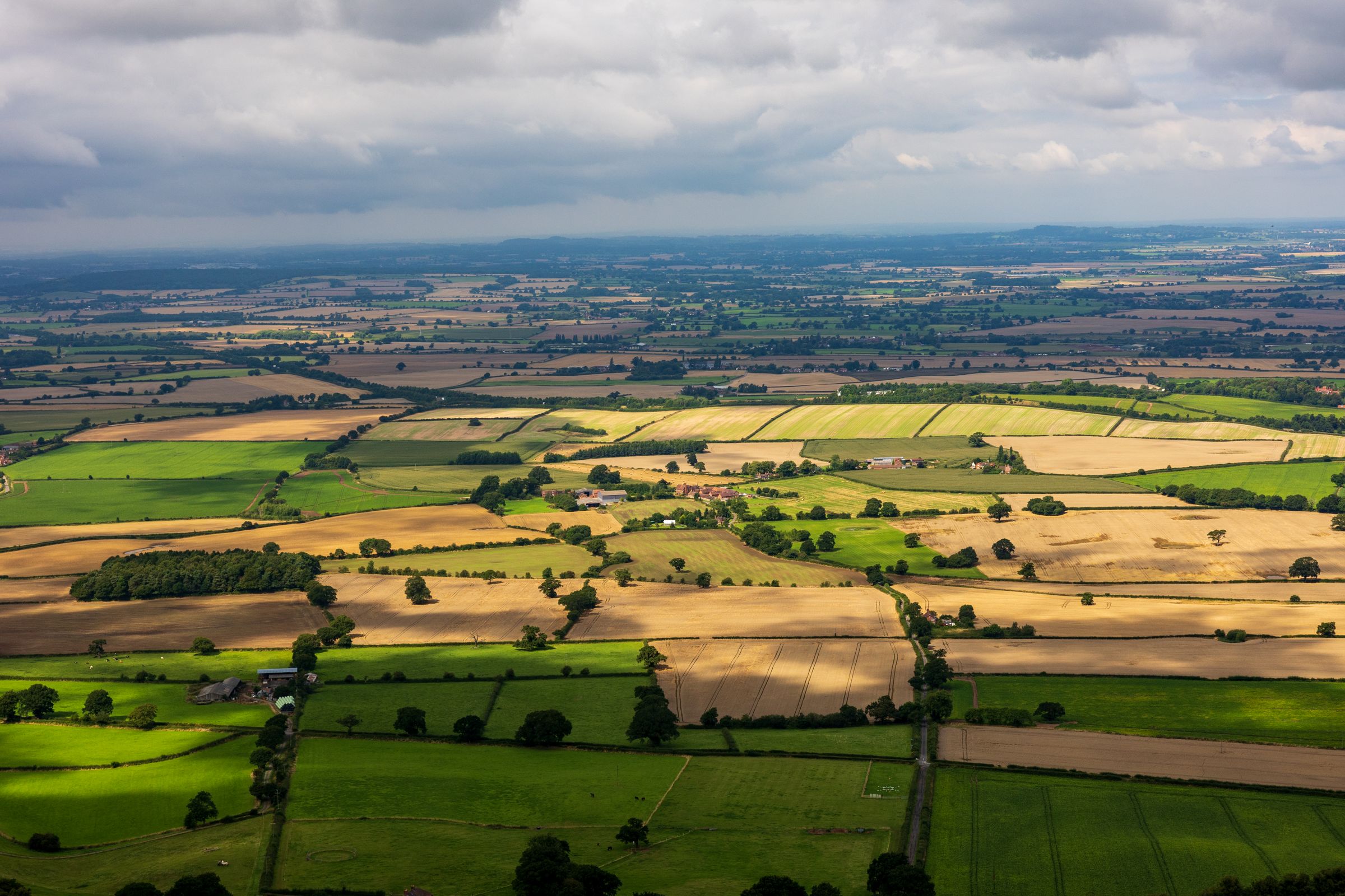 Patchwork of fields and hedgerows from the air