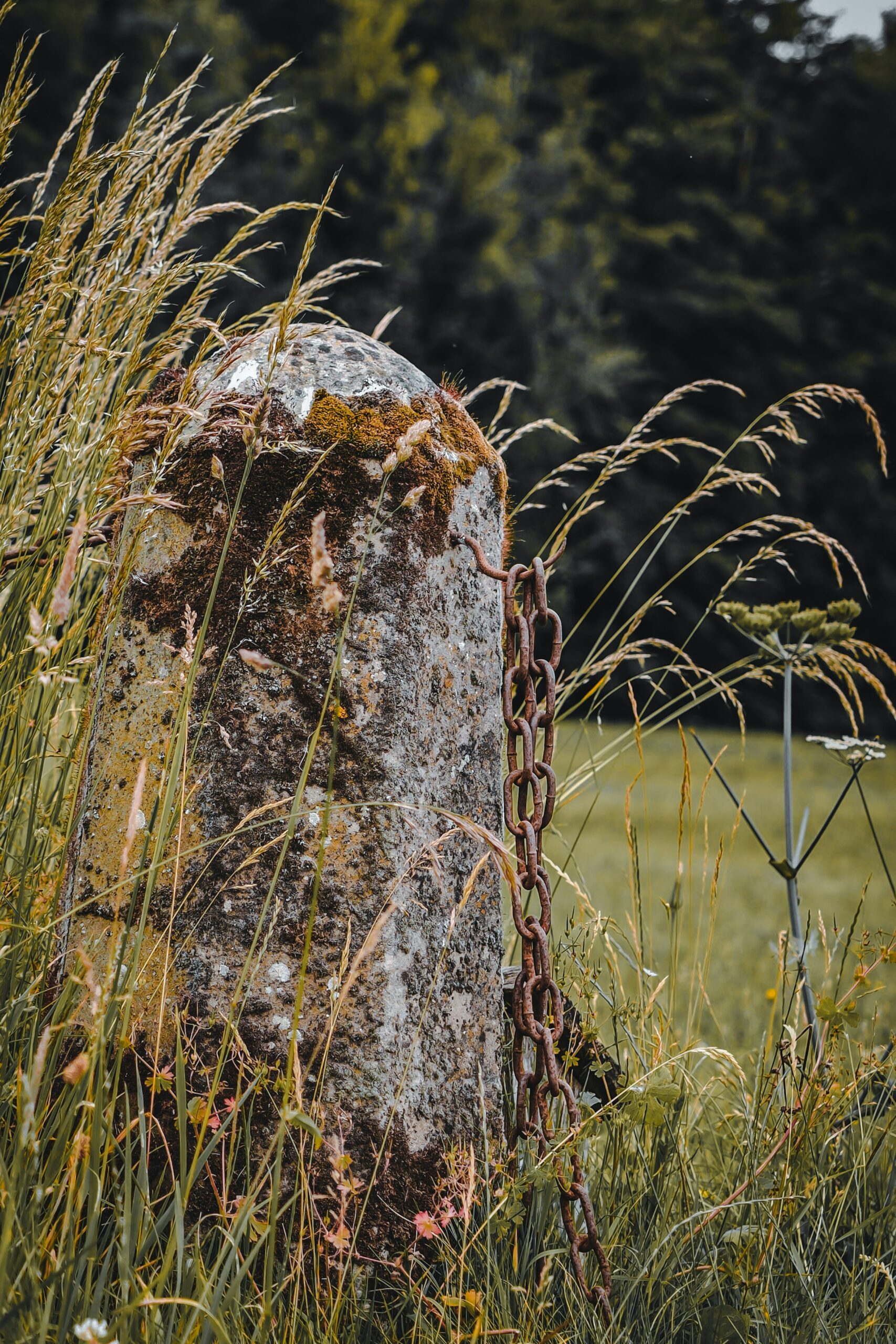 Lichen-covered stone post in long grass